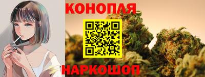 индика Беслан