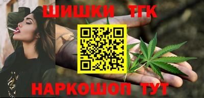 индика Беслан